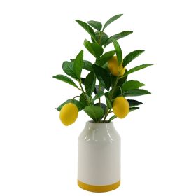 (2 Pack)14.5" Artificial Lemon Tree in White Ceramic Vase